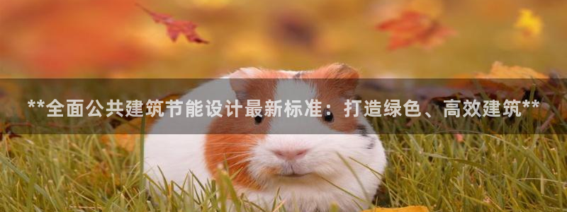 e尊官网：**全面公共建筑节能设计最新标准：打造绿色、高效建筑**