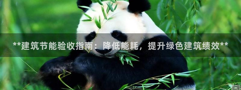 e尊国际客服：**建筑节能验收指南：降低能耗，提升绿色建筑绩效**