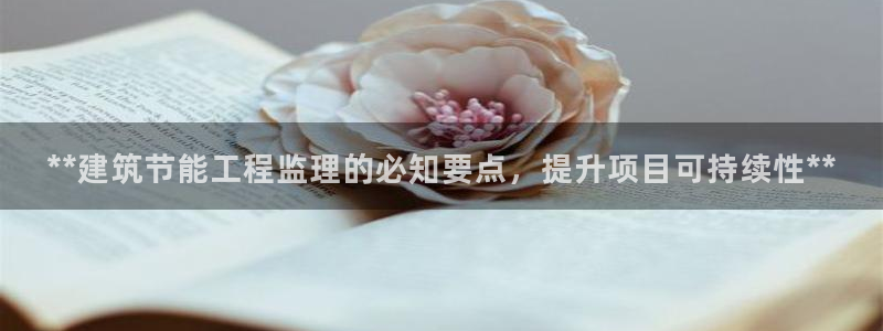 e尊国际地址：**建筑节能工程监理的必知要点，提升项目可持续性**