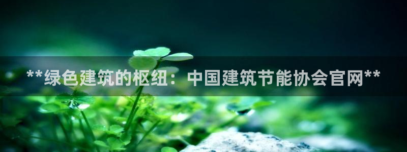 e尊国际客户端：**绿色建筑的枢纽：中国建筑节能协会官网**