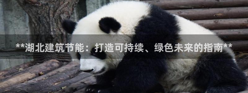 e尊国际娱乐官网下载：**湖北建筑节能：打造可持续、绿色未来的指南**