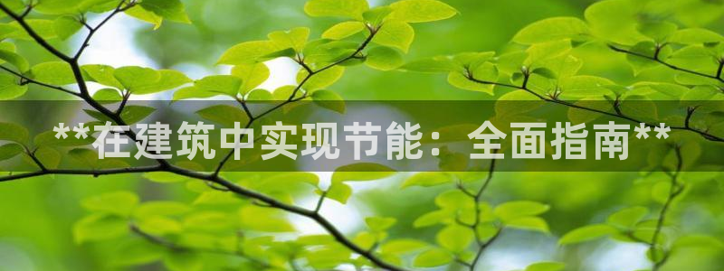 e尊国际-e尊国际官网