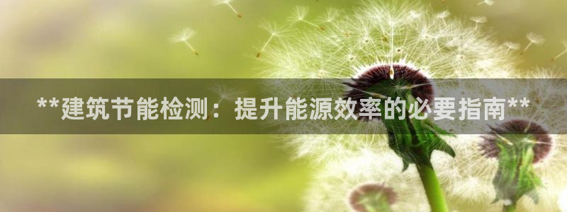 e尊国际网址：**建筑节能检测：提升能源效率的必要指南**