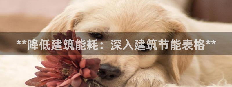 e尊国际网址：**降低建筑能耗：深入建筑节能表格**