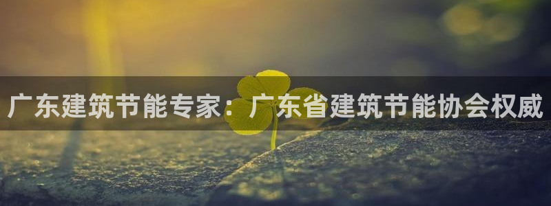 E尊国际：广东建筑节能专家：广东省建筑节能协会权威