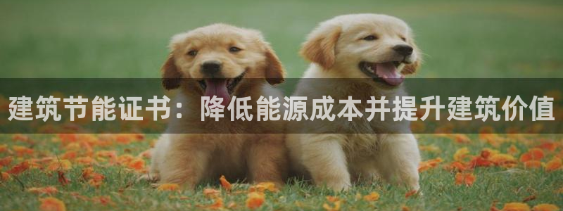 e尊国际-可可计划：建筑节能证书：降低能源成本并提升建筑价值