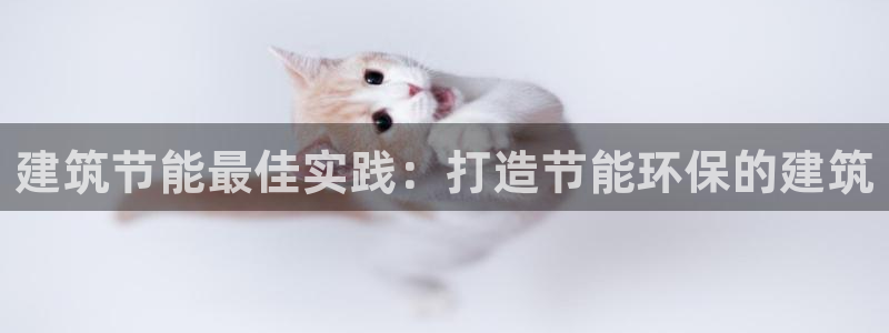 e尊国际7779：建筑节能最佳实践：打造节能环保的建筑