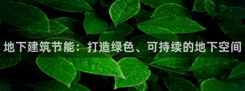 e尊国际app：地下建筑节能：打造绿色、可持续的地下空间