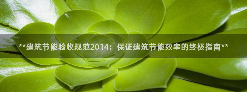 e尊电竞：**建筑节能验收规范2014：保证建筑节能效率的终极指南**