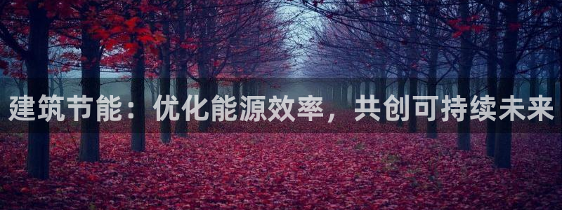 e尊国际官网·网址：建筑节能：优化能源效率，共创可持续未来