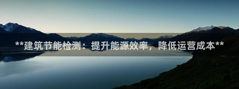 e尊国际官网·网址：**建筑节能检测：提升能源效率，降低运营成本**