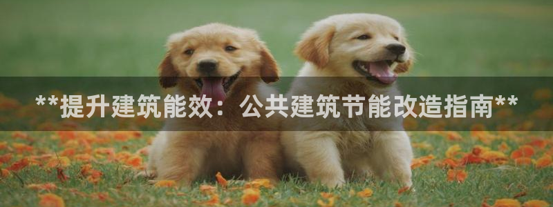e尊国际官网：**提升建筑能效：公共建筑节能改造指南**