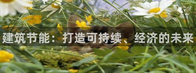 e尊平台：建筑节能：打造可持续、经济的未来