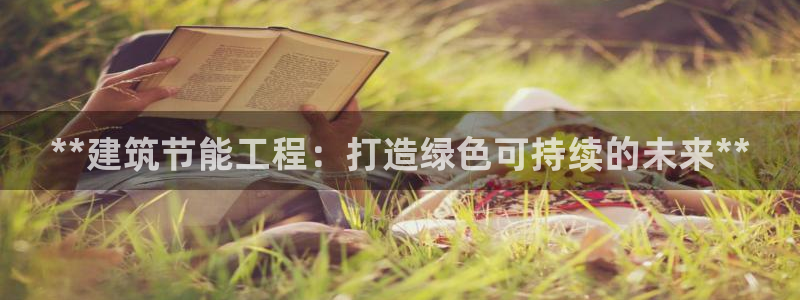 e尊国际官方网站：**建筑节能工程：打造绿色可持续的未来**