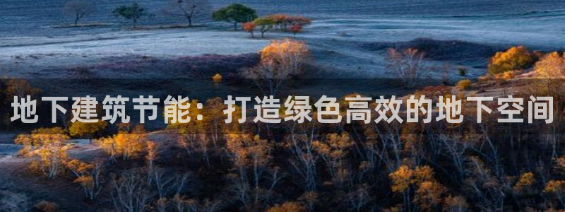 e尊国际平台