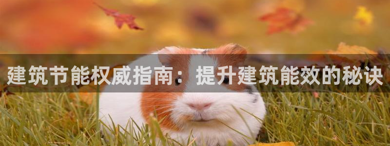 e尊国际-可可计划：建筑节能权威指南：提升建筑能效的秘诀