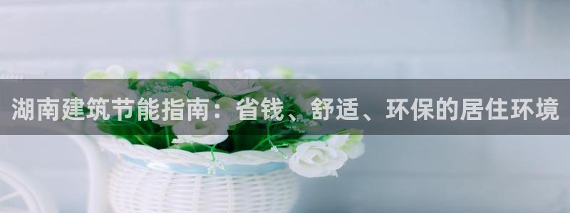 e尊国际官网：湖南建筑节能指南：省钱、舒适、环保的居住环境