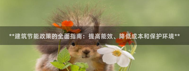 e尊国际官网app：**建筑节能政策的全面指南：提高能效、降低成本和保护环境**