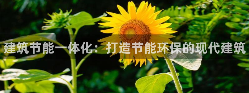 e尊国际是个黑网：建筑节能一体化：打造节能环保的现代建筑