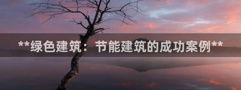 e尊国际网址：**绿色建筑：节能建筑的成功案例**