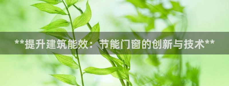 e尊国际网址：**提升建筑能效：节能门窗的创新与技术**