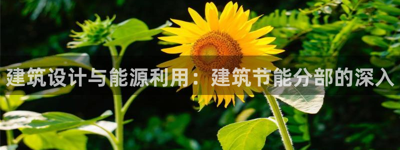 e尊国际客户端下载：建筑设计与能源利用：建筑节能分部的深入