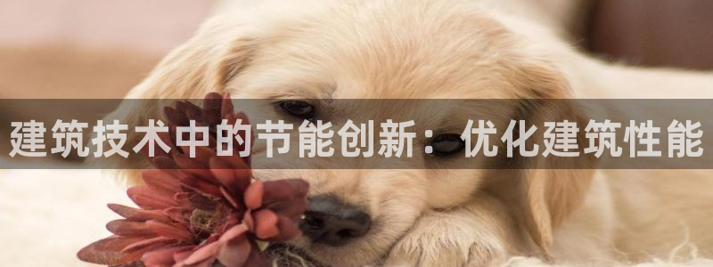 e尊国际客户端下载