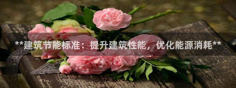 e尊国际平台：**建筑节能标准：提升建筑性能，优化能源消耗**