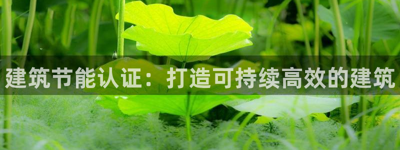 e尊国际平台：建筑节能认证：打造可持续高效的建筑