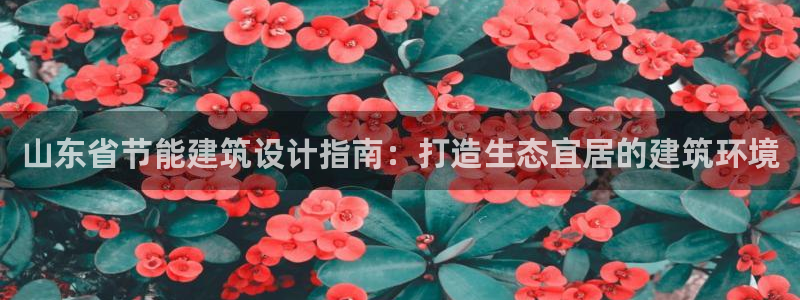 e尊国际地址：山东省节能建筑设计指南：打造生态宜居的建筑环境