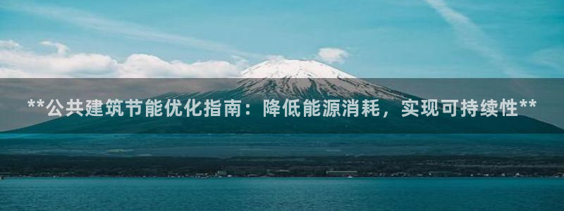 e尊国际是干什么的：**公共建筑节能优化指南：降低能源消耗，实现可持续性**