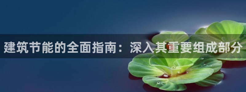 e尊国际7779：建筑节能的全面指南：深入其重要组成部分