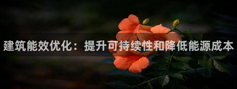 e尊国际的手机登录网站：建筑能效优化：提升可持续性和降低能源成本