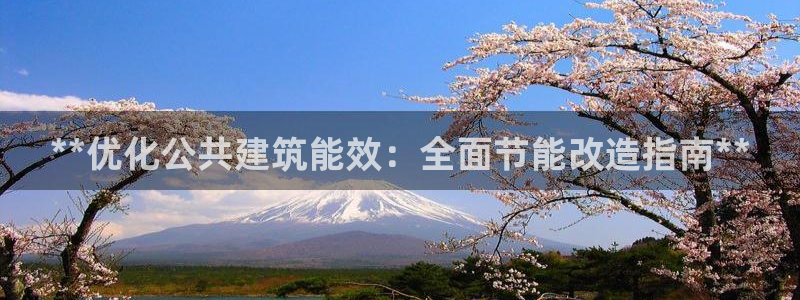 e尊国际娱乐官网地址：**优化公共建筑能效：全面节能改造指南**
