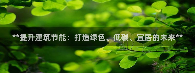 e尊国际可靠吗：**提升建筑节能：打造绿色、低碳、宜居的未来**