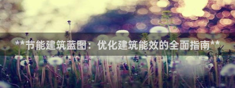 e尊平台：**节能建筑蓝图：优化建筑能效的全面指南**