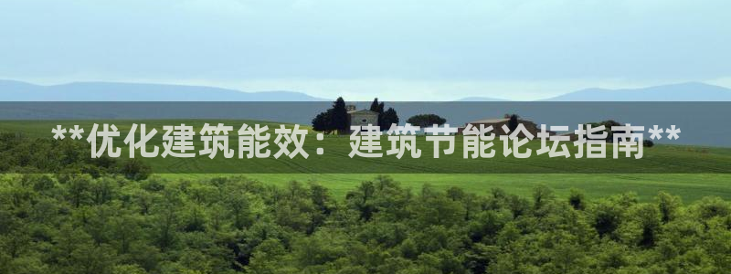 谁知道e尊国际的网址：**优化建筑能效：建筑节能论坛指南**