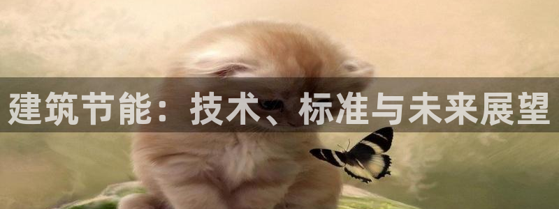 E尊国际网站：建筑节能：技术、标准与未来展望