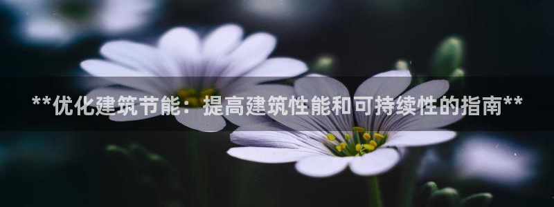 e尊体育：**优化建筑节能：提高建筑性能和可持续性的指南**