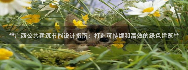e尊国际地址：**广西公共建筑节能设计指南：打造可持续和高效的绿色建筑**