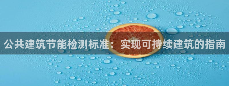 e尊国际的手机登录网站：公共建筑节能检测标准：实现可持续建筑的指南