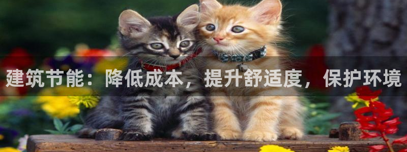 e尊国际客户端：建筑节能：降低成本，提升舒适度，保护环境