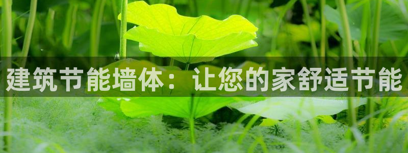 e尊国际官方网站：建筑节能墙体：让您的家舒适节能