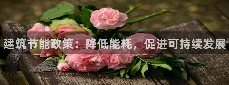 e尊国际官方网站：建筑节能政策：降低能耗，促进可持续发展