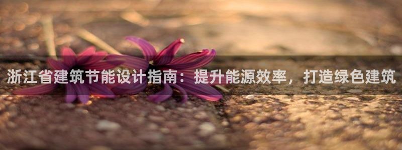 e尊官网：浙江省建筑节能设计指南：提升能源效率，打造绿色建筑
