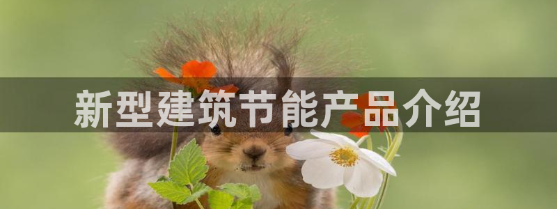 E尊国际网站：新型建筑节能产品介绍