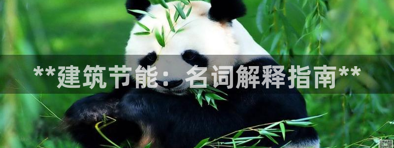 e尊电竞：**建筑节能：名词解释指南**