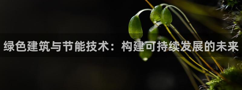 E尊国际：绿色建筑与节能技术：构建可持续发展的未来