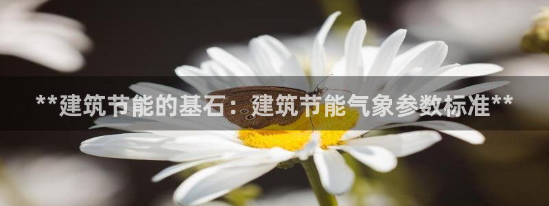 e尊国际娱乐官网地址：**建筑节能的基石：建筑节能气象参数标准**