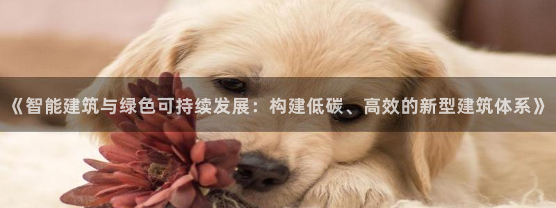 e尊国际官网：《智能建筑与绿色可持续发展：构建低碳、高效的新型建筑体系》